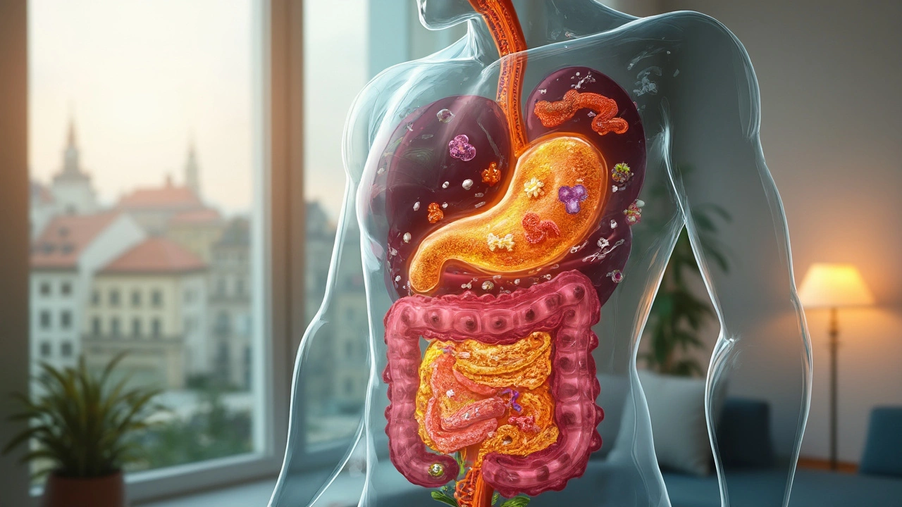 Ovlivňuje rychlost účinku konkrétní kmen a složení probiotik?